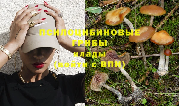 мяу мяу мука Абинск