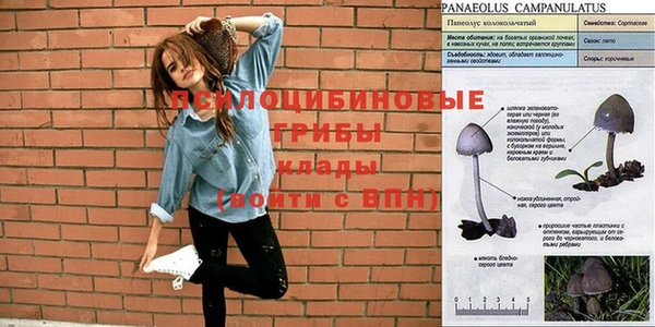 крисы Абдулино