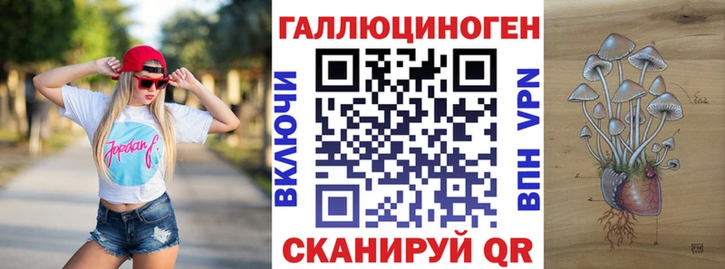 Псилоцибиновые грибы Psilocybe  мега ТОР  Киренск 